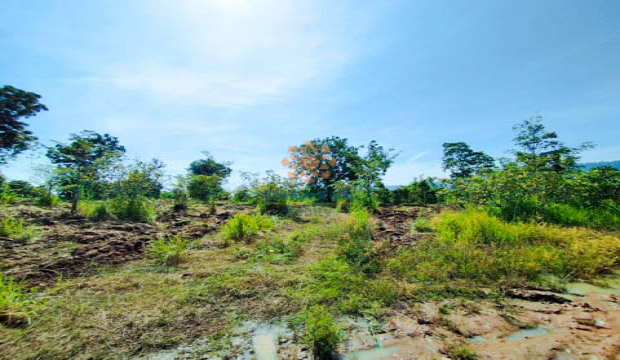 Land for Sale in Siem Reap-Khun Ream